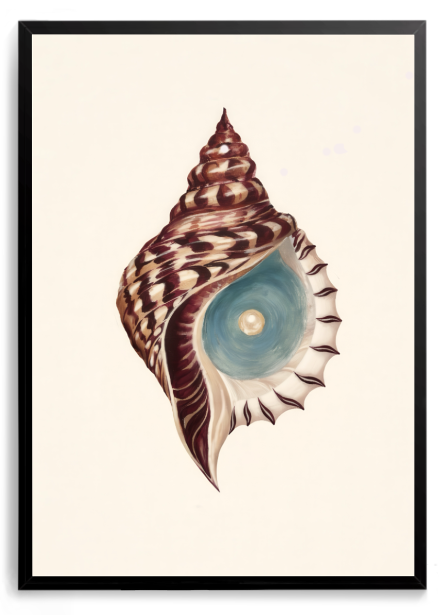 Concha marrom com espiral azul-clara e uma pérola dourada no centro, fundo bege – quadro decorativo Cresça, inspirado na música Quero Ser Feliz Também de Natiruts