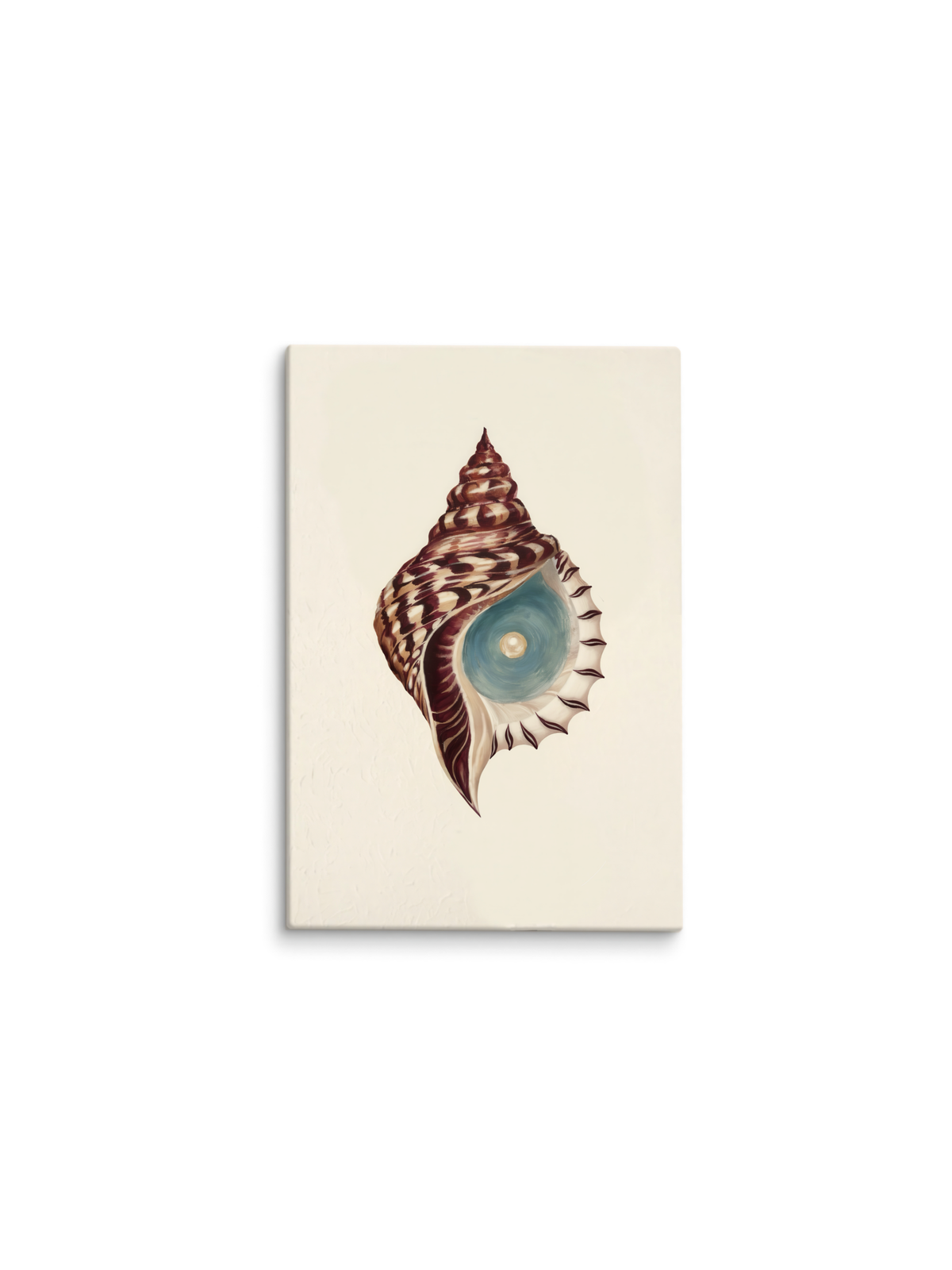 Concha em espiral com uma pérola, fundo bege – pintura original Cresça, inspirada na música Quero Ser Feliz Também de Natiruts